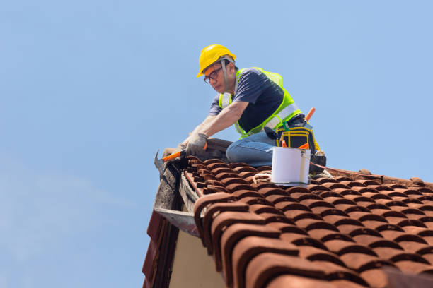 Best Roofing for New Construction  in USA